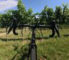 Cannondale Topstone Carbon 1 RLE 2024 - Pův. cena 220tis