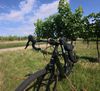 Cannondale Topstone Carbon 1 RLE 2024 - Pův. cena 220tis