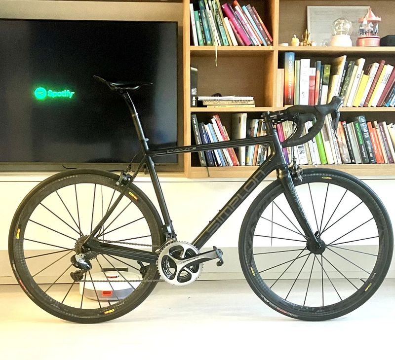 Simplon Pavo Carbon