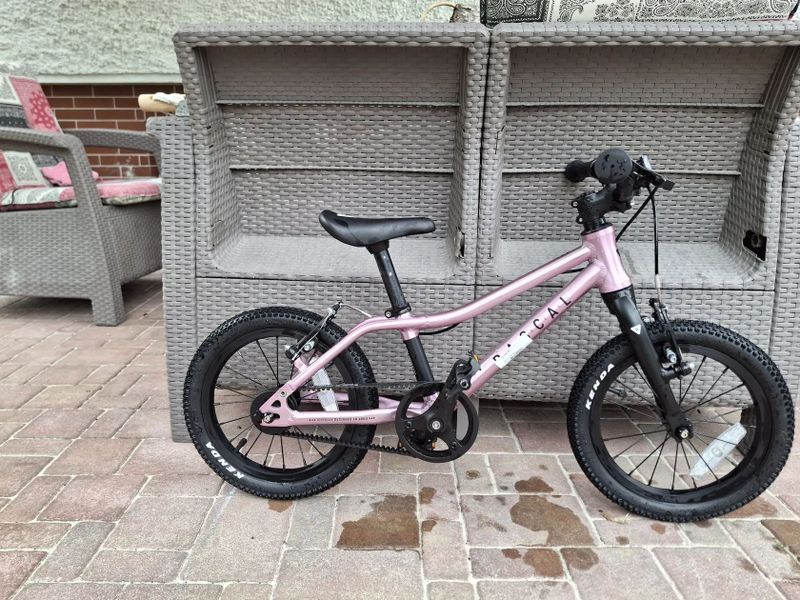 Rascal 14