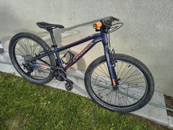 Orbea MX 24 custom