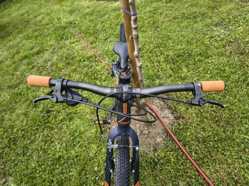 Orbea MX 24 custom