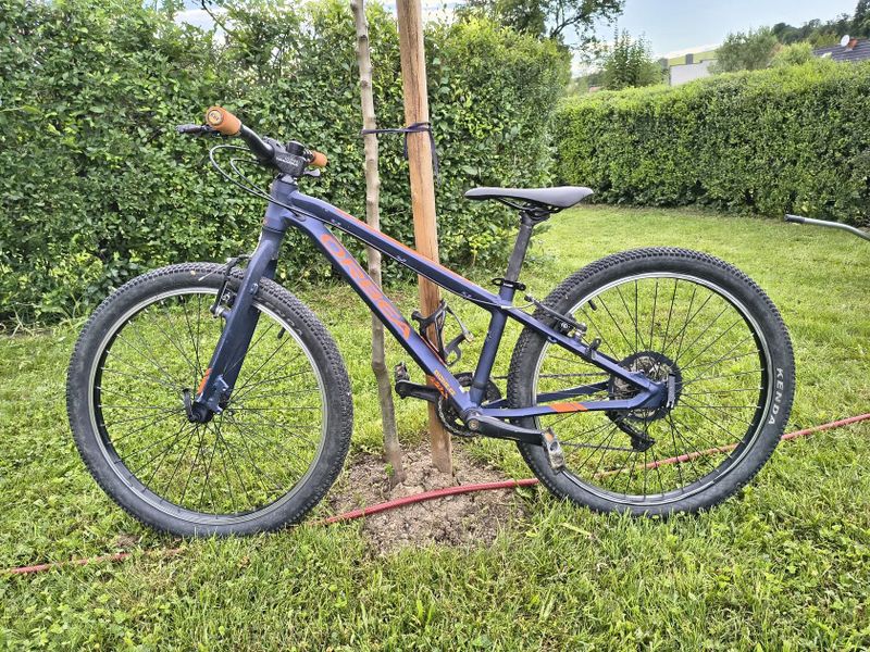 Orbea MX 24 custom