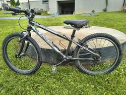 Islabikes Beinn 20"