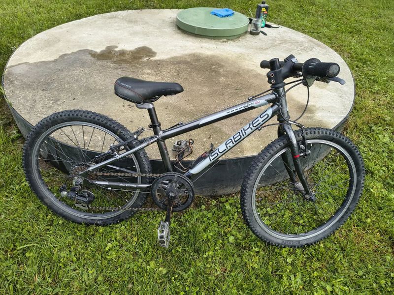 Islabikes Beinn 20"