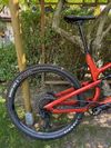 Canyon 29 Spectral AL 6 
