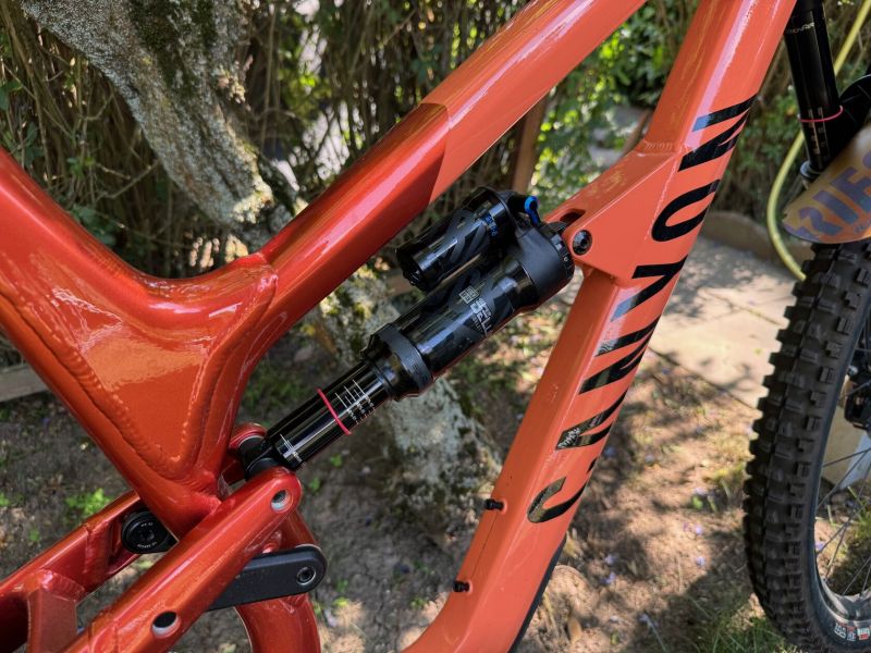 Canyon 29 Spectral AL 6 