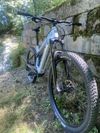 Mondraker