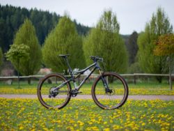 BH LYNX RACE 8.5 vel. L