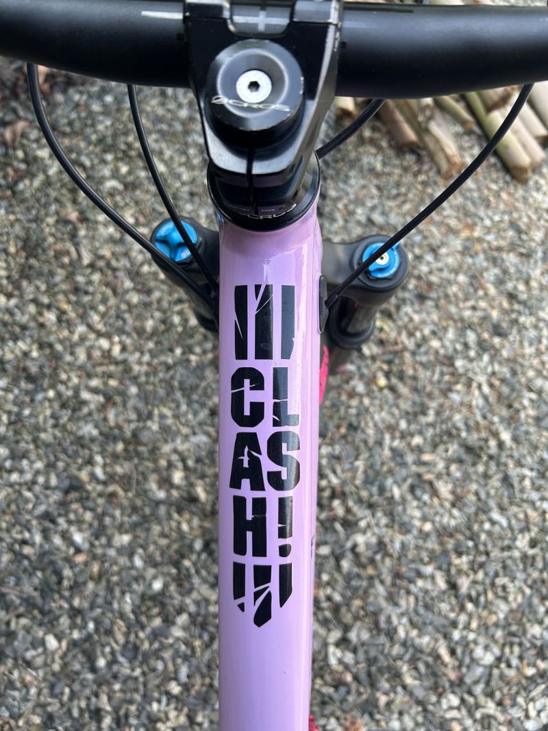 Custom build Commencal Clash