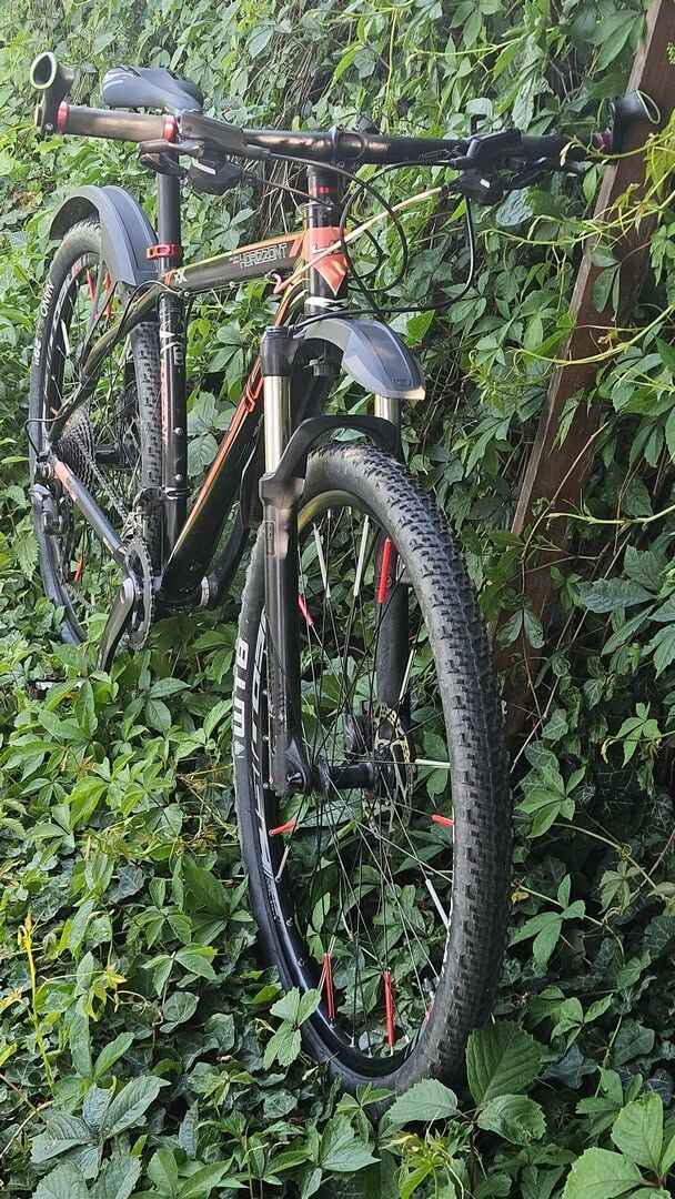 Horské kolo 4EVER 29" velikost L (19") koupeno 2020