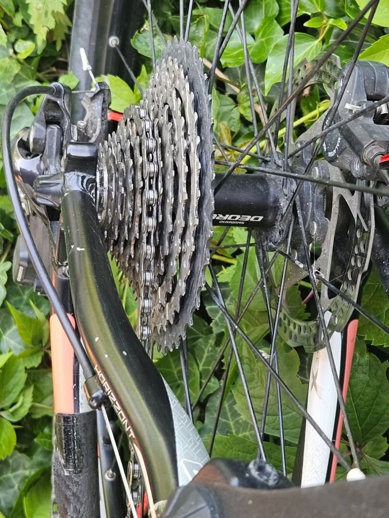 Horské kolo 4EVER 29" velikost L (19") koupeno 2020