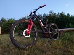 Dartmoor Thunderbird CF 