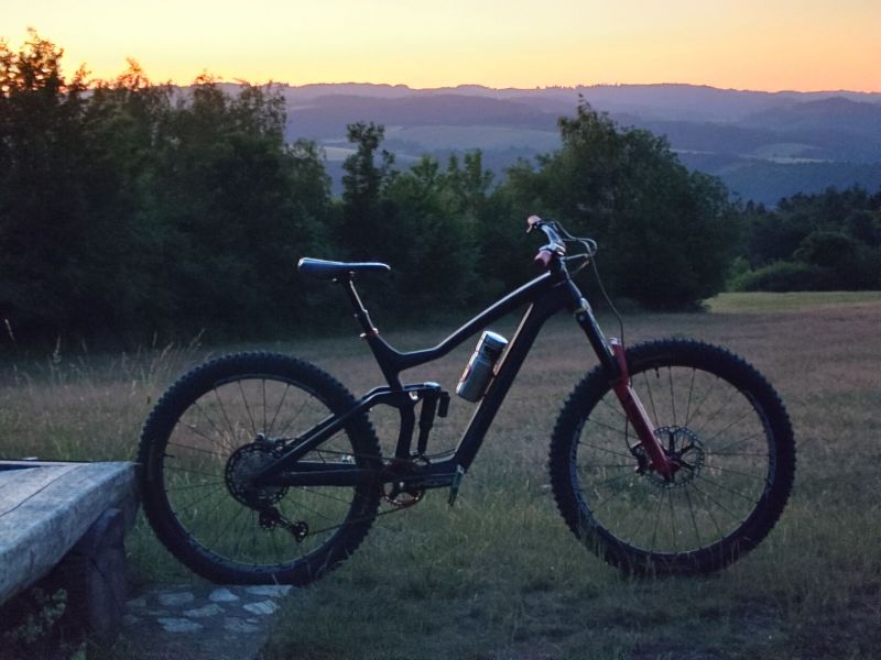Dartmoor Thunderbird CF 