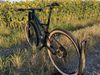 Cannondale Scalpel-Si Carbon vel. L
