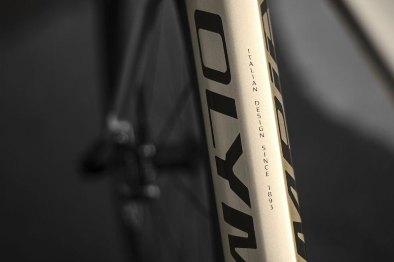 Olympia Leader Disc, Shimano Di2