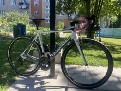 Boardman Team Carbon – Ultegra/105, Campagnolo Scirocco, výborný stav