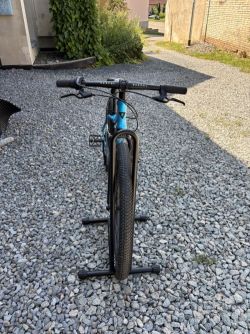 Rascal 24