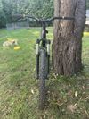 CTM dirtking 