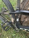 CTM dirtking 