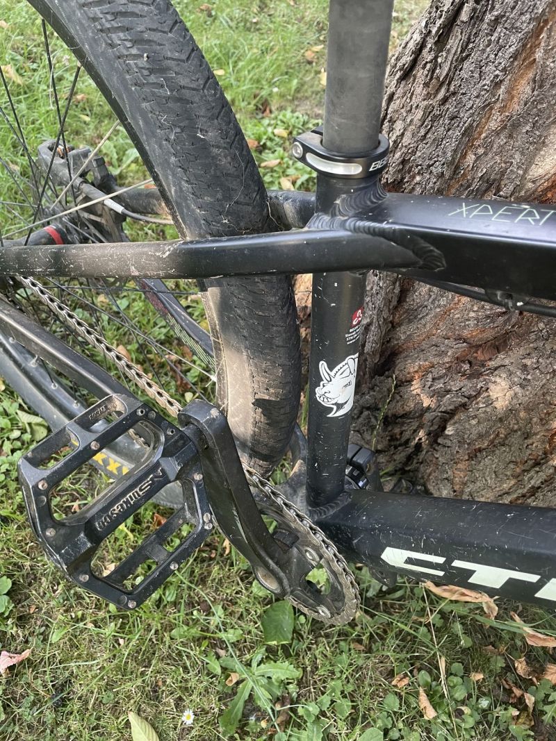 CTM dirtking 
