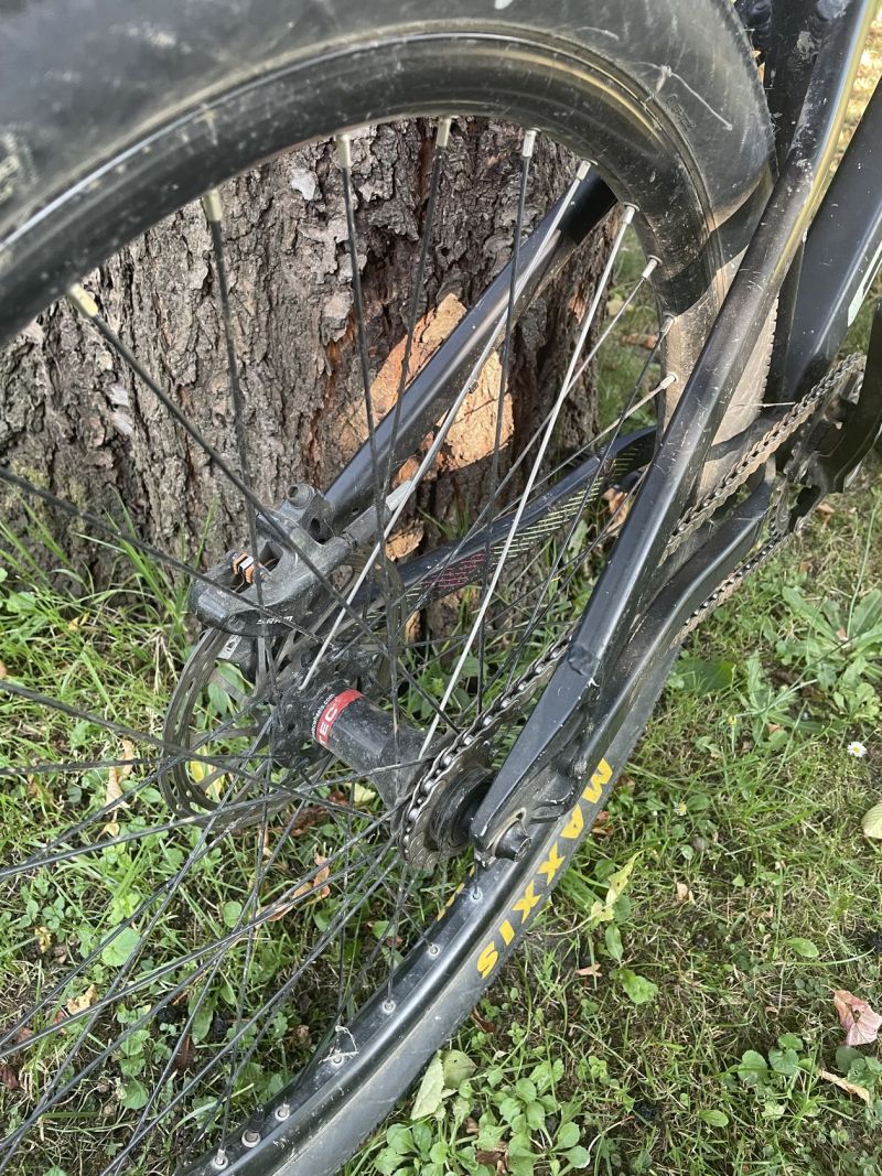 CTM dirtking 