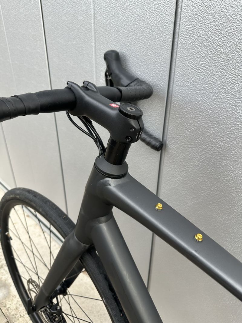 Gravel Trek Domane AL 2 Gen 4