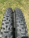 2x Maxxis forekaster najeto 20km