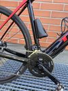 TREK DOMANE+