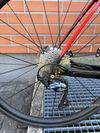 TREK DOMANE+