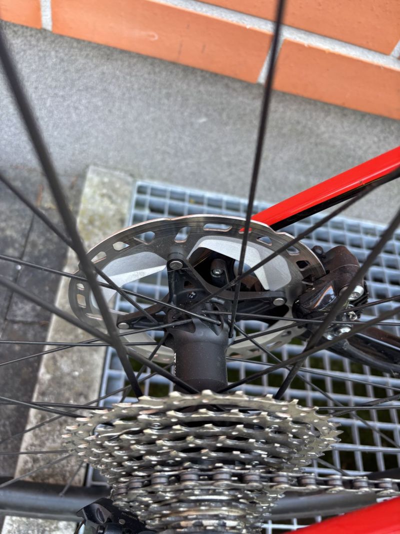 TREK DOMANE+