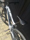 Bold Unplugged V1 (Scott) 
