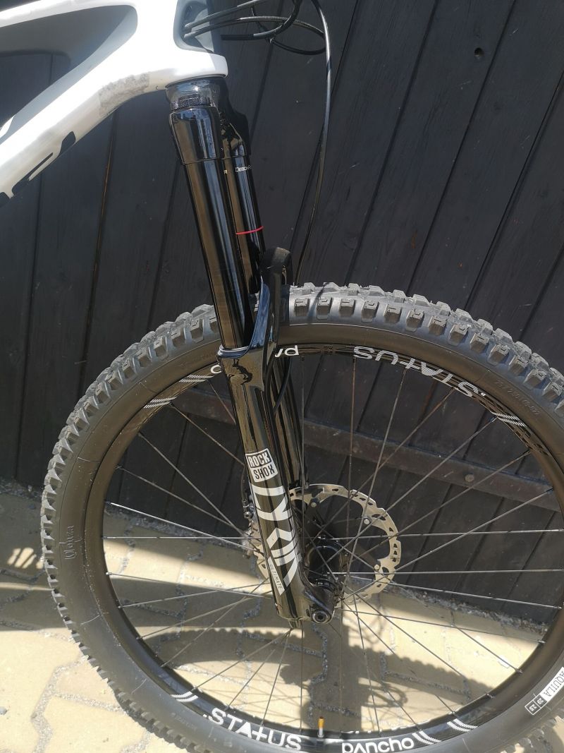 Bold Unplugged V1 (Scott) 