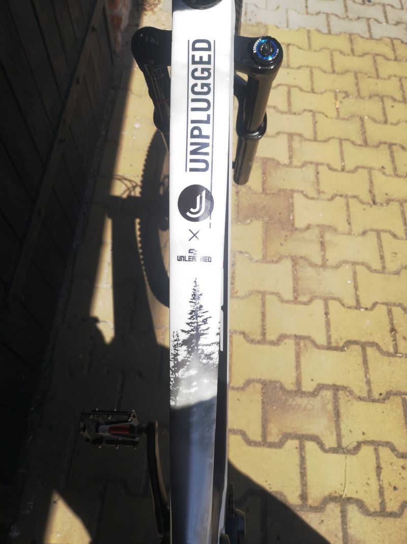 Bold Unplugged V1 (Scott) 