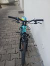 Amulet tomcat 20"