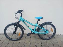 Amulet tomcat 20"