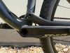 Specialized Epic Evo carbon Brain 2019