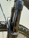 Specialized Epic Evo carbon Brain 2019
