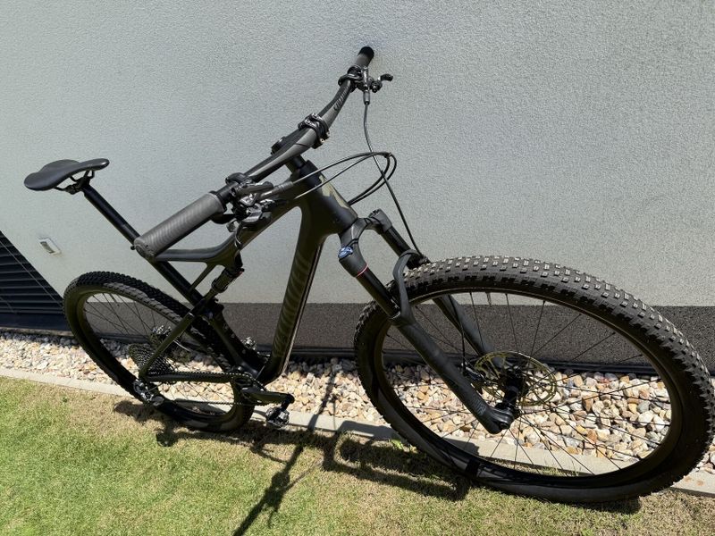 Specialized Epic Evo carbon Brain 2019