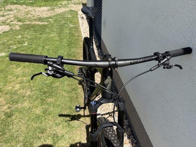 Specialized Epic Evo carbon Brain 2019