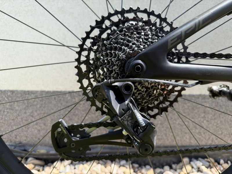 Specialized Epic Evo carbon Brain 2019
