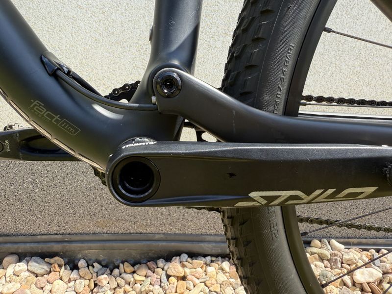 Specialized Epic Evo carbon Brain 2019