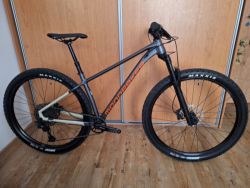 Mondraker Chrono DC 2024