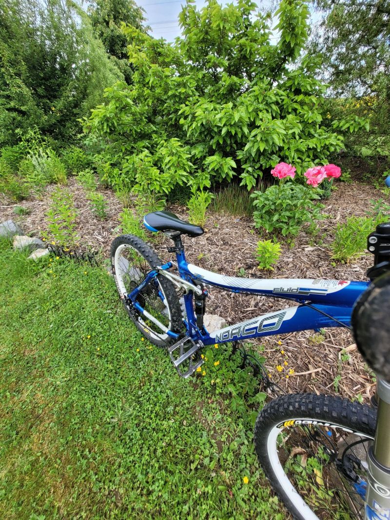 Norco fluid 