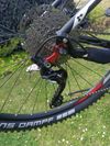 CUBE ltd race 29er