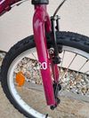 Superior Paint 20" - TOP STAV