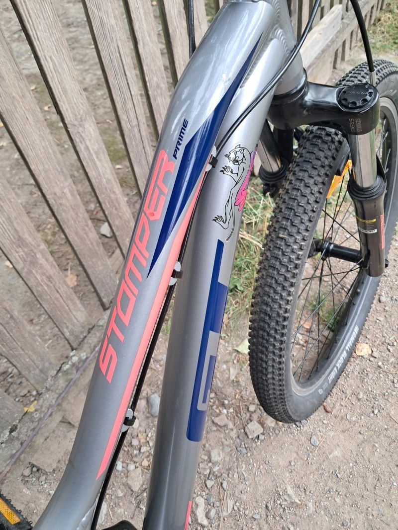 GT Stromper 24 Rine SLV