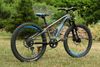 Kellys Marc 70 24"