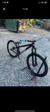 Ctm Dirtking expert 2022