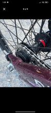Ctm Dirtking expert 2022